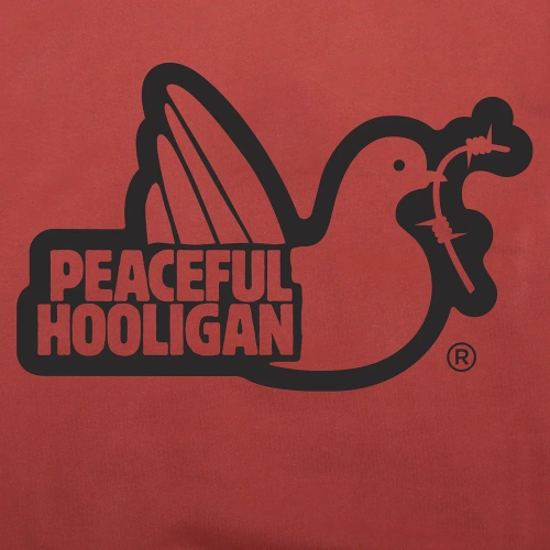 PeacefulHooligan-Hoodie-Outline-AstroDust-2
